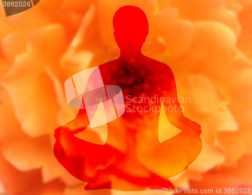 Image of Blurry flower background with woman doing yoga