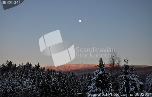 Image of Moonrise in winter scenery