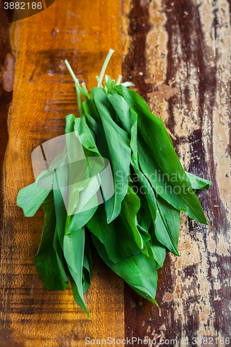 Image of Fresh wild garlic leaves