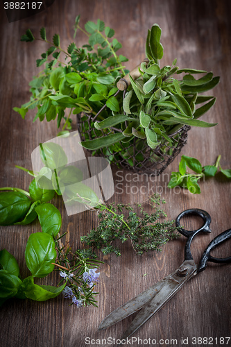 Image of Herbs with vintage garden scissors 