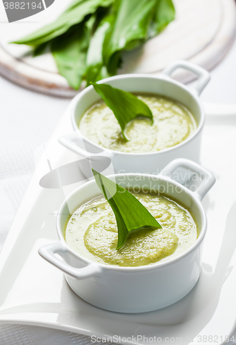 Image of Fresh wild garlic leaves