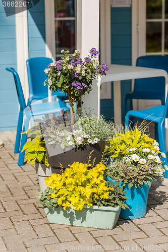 Image of Flower pots