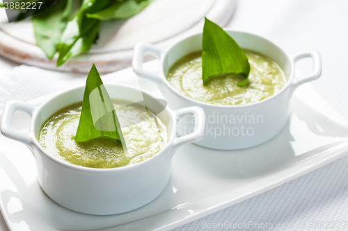 Image of Fresh wild garlic leaves