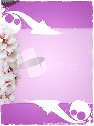 Image of almond background