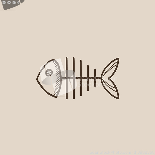 Image of Fish skeleton sketch icon.