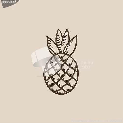 Image of Pineapple sketch icon.