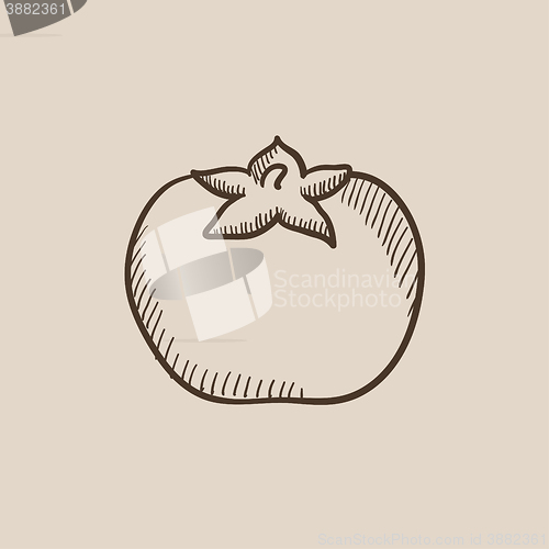 Image of Tomato sketch icon.