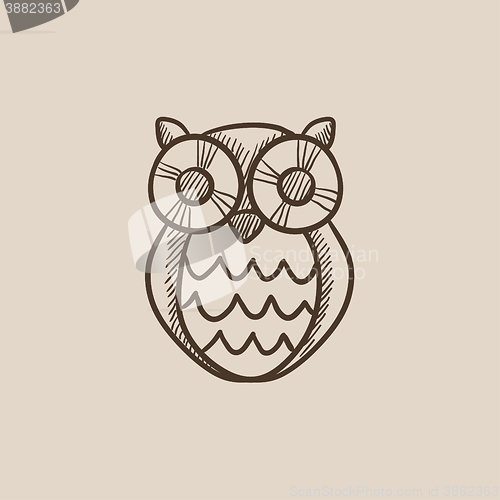 Image of Owl sketch icon.