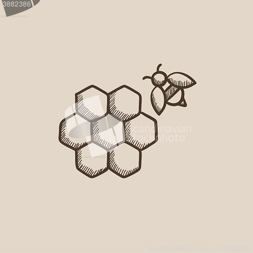 Image of Honeycomb and bee sketch icon.