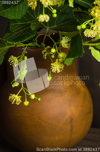 Image of Jar with lime honey on a table, \rClose up