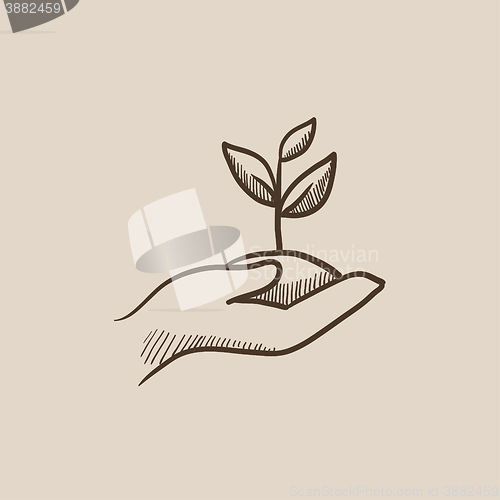 Image of Hands holding seedling in soil sketch icon.