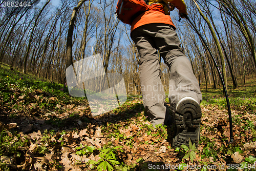 Image of Male hiker looking to the side walking in forest