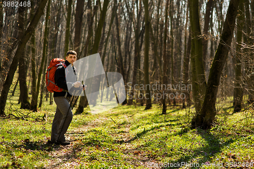 Image of Male hiker looking to the side walking in forest