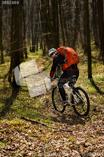 Image of Rider in action at Freestyle Mountain Bike Session