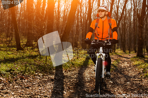 Image of Cyclist Riding the Bike