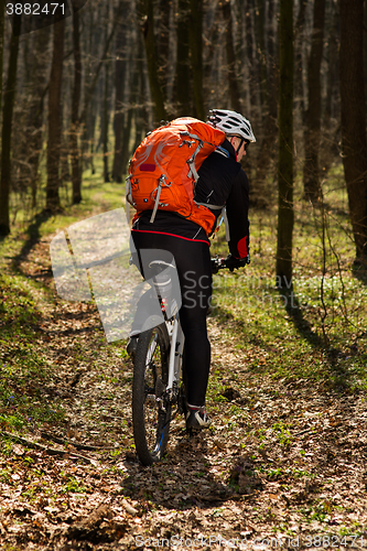 Image of Rider in action at Freestyle Mountain Bike Session