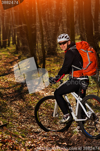 Image of Rider in action at Freestyle Mountain Bike Session