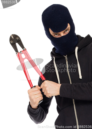 Image of Robber with red bolt cutters