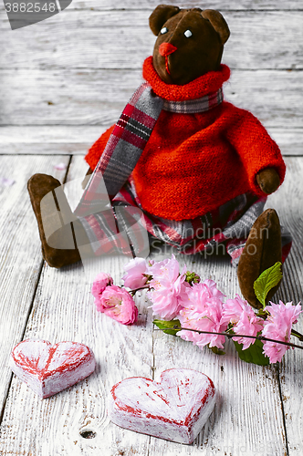 Image of Soft toy bear