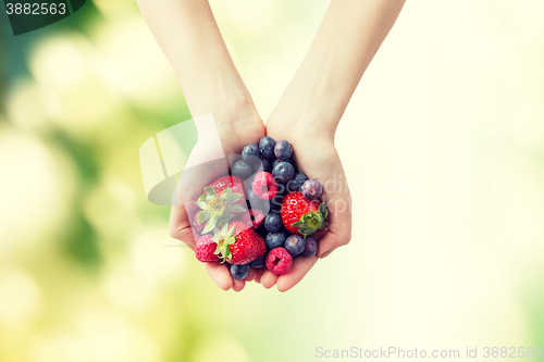 Image of close up of woman hands holding berries