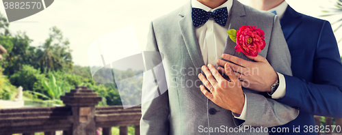 Image of close up of happy male gay couple