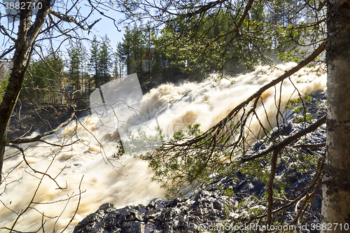 Image of River waterfall in wild forest