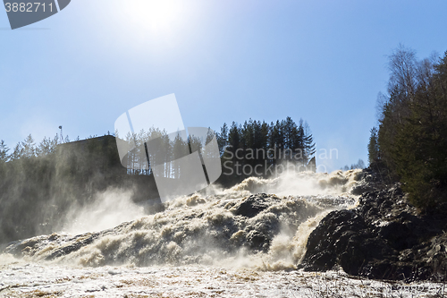 Image of Sunny waterfall in pine forest