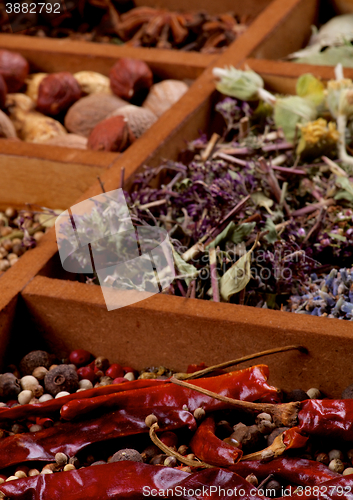 Image of Spices in Wooden Box