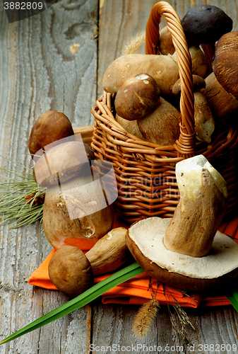 Image of Raw Boletus Mushrooms