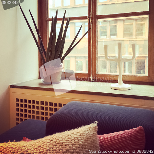 Image of Window decorated with Sansevieria plant and candleholder