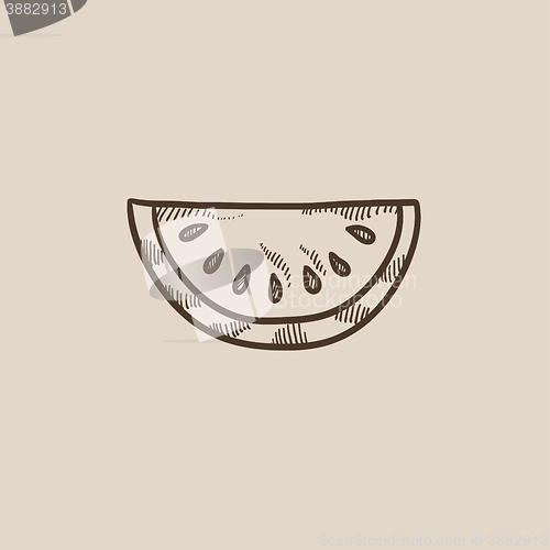 Image of Melon sketch icon.