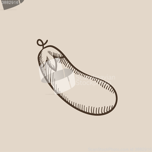 Image of Eggplant sketch icon.