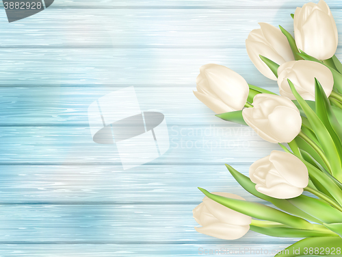 Image of Bouquet of white tulips. EPS 10