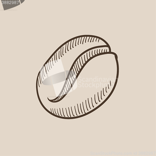 Image of Coffee bean sketch icon.