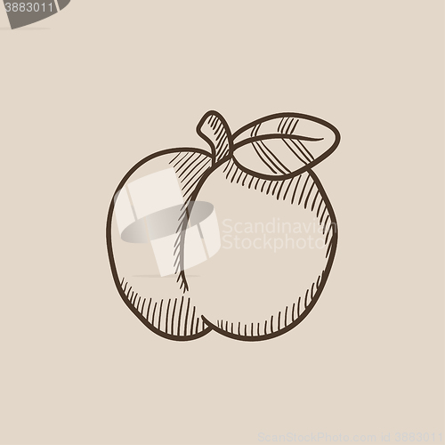 Image of Apple sketch icon.