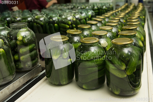 Image of gurtsov conservation. Fresh cucumbers in jars