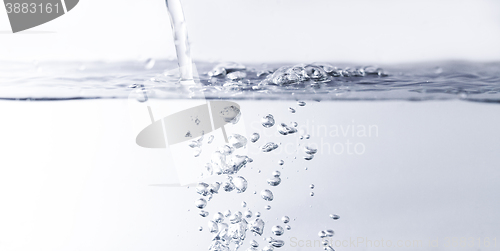 Image of Water bubbles