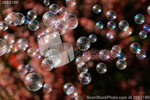 Image of Soap bubbles