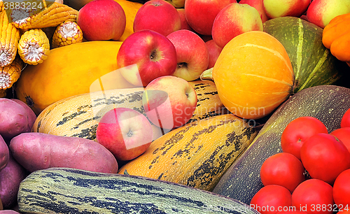 Image of Vegetable harvest is sold at the fair.