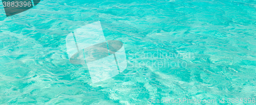 Image of sea or ocean blue transparent water