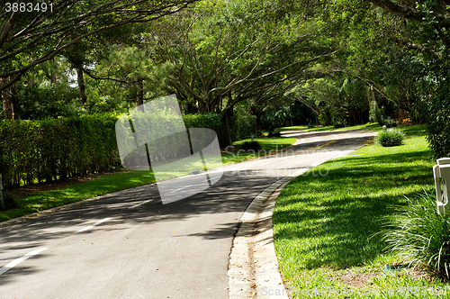 Image of beautifully landscaped tree lined road