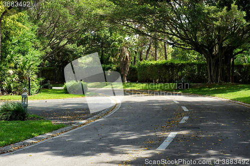 Image of beautifully curving tree lined road