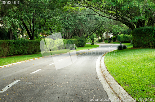 Image of beautifully curving hedge lined road