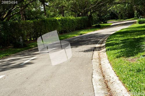 Image of beautifully curving landscaped tree lined road