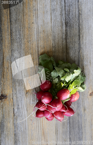 Image of bunch of fresh radish on a wooden