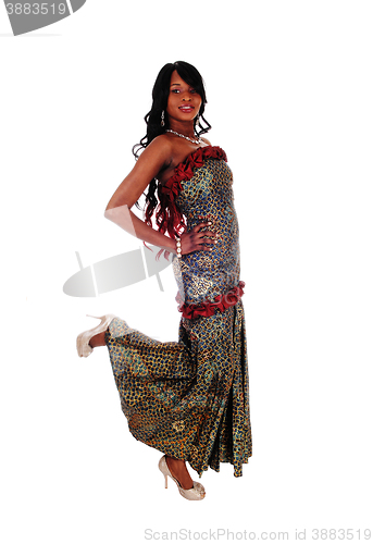 Image of Gorgeous African American woman in long dress.