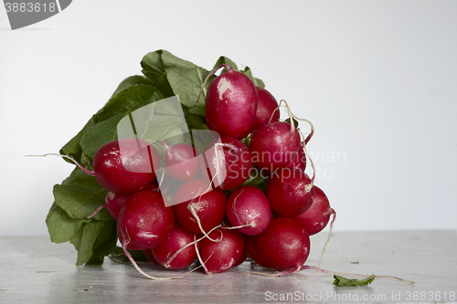 Image of bunch of fresh radish