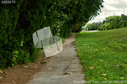 Image of old paved pathway naples florida