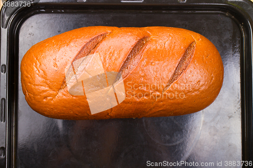 Image of baking fresh bread in the bakehouse