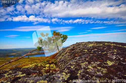 Image of Mountain tundra in Lapland